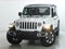 2023 Jeep Wrangler 4-Door Sahara 4x4